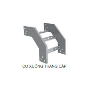 Co xuống thang cáp